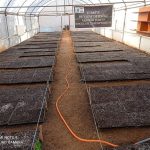 WhatsApp Image 2021-09-29 at 11.13.38