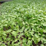 WhatsApp Image 2021-09-29 at 11.13.45 (3)