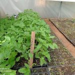 WhatsApp Image 2021-09-29 at 11.13.47