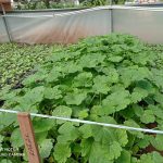 WhatsApp Image 2021-09-29 at 11.13.49